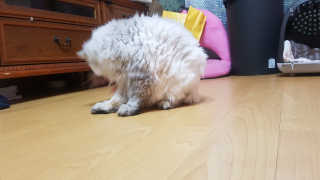 이영실님이 올린 리뷰 사진 4