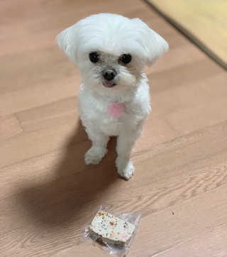 지윤님이 올린 리뷰 사진 1