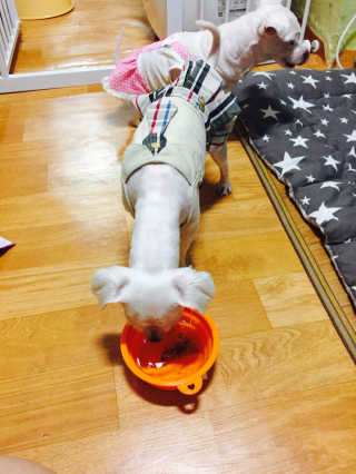 실이님이 올린 리뷰 사진 4