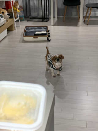 향이님이 올린 리뷰 사진 2