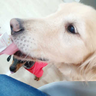 wooriYul님이 올린 리뷰 사진 3