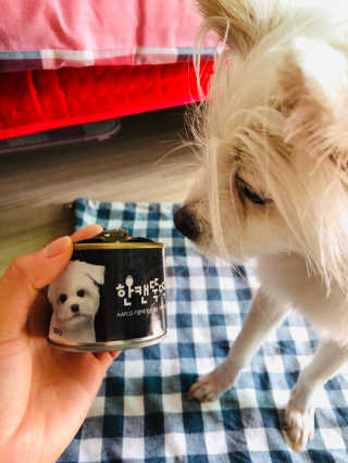 펫토리아 한캔뚝딱 best 강아지캔,고양이주식캔 — 4.5점을 준 리뷰어가 2019년 6월 올린 사용 사진