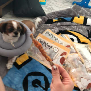 [펫토리아] 뚝딱뚝딱 400g 강아지 간식 베스트5종 — 5점을 준 리뷰어가 2019년 1월 올린 사용 사진