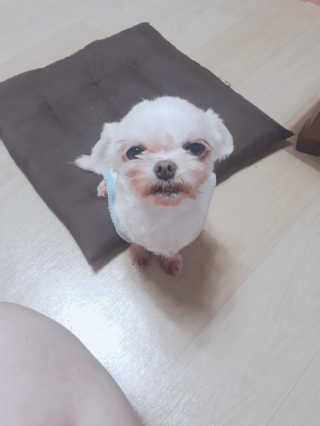 햇살pk님이 올린 리뷰 사진 3