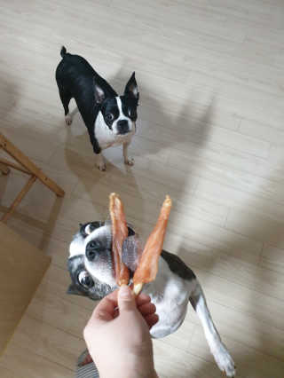 KimMinbi님이 올린 리뷰 사진 1