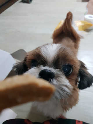 임은아님이 올린 리뷰 사진 4