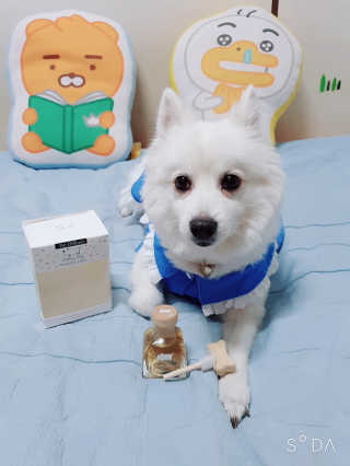 블리블리♡은블리♡님이 올린 리뷰 사진 2
