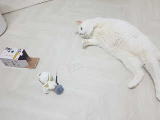 IS2UL님이 올린 리뷰 사진 4