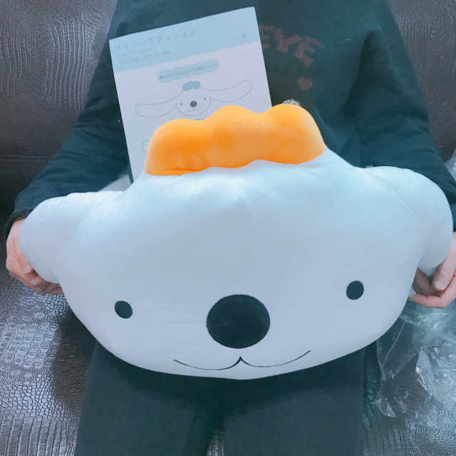 프리허그 백허그쿠션 리뷰 사진