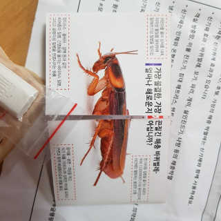 갱지님이 올린 리뷰 사진 3
