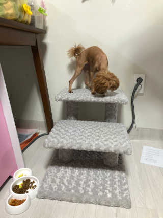 이쁜이님이 올린 리뷰 사진 4
