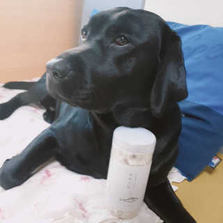 Lilly❤️님이 올린 리뷰 사진 2