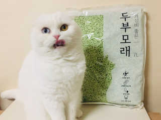 화이집사님이 올린 리뷰 사진 2
