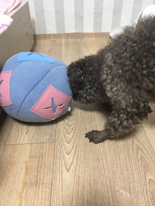 문혜진님이 올린 리뷰 사진 3