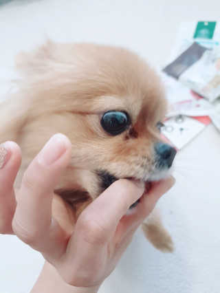 YulaKim님이 올린 리뷰 사진 1