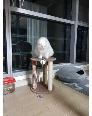 으하하하하님이 올린 리뷰 사진 1