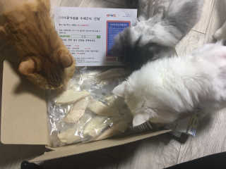 SujinJeong님이 올린 리뷰 사진 4