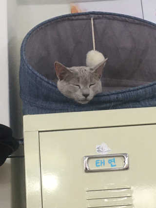 함니님이 올린 리뷰 사진 2