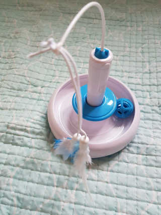 꽁남쓰님이 올린 리뷰 사진 2