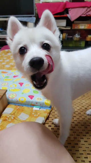 블리블리♡은블리♡님이 올린 리뷰 사진 3