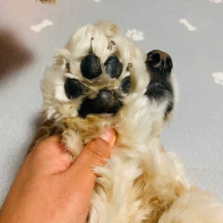 뽀니님이 올린 리뷰 사진 4