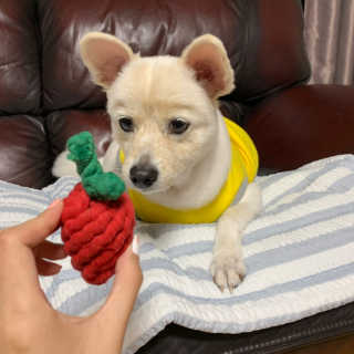 지우닝님이 올린 리뷰 사진 1