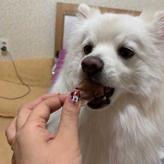 갱긔님이 올린 리뷰 사진 4