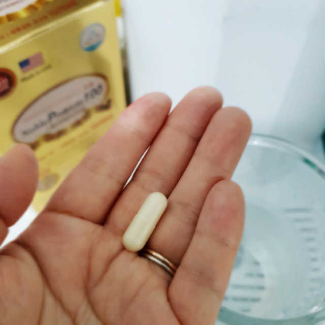 노블프로바이오틱100 리뷰 사진