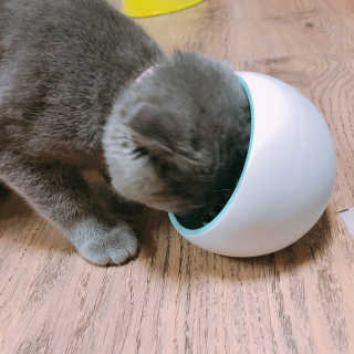 박기련님이 올린 리뷰 사진 4