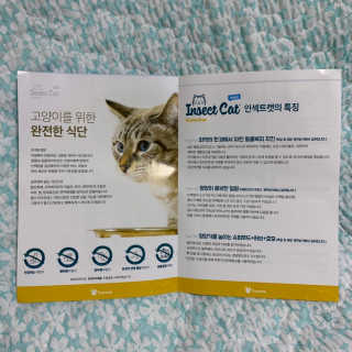 그린펫푸드 인섹트캣 글루텐프리（1.2KG） — 5점을 준 리뷰어가 2019년 8월 올린 사용 사진
