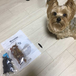 데닌슈님이 올린 리뷰 사진 2