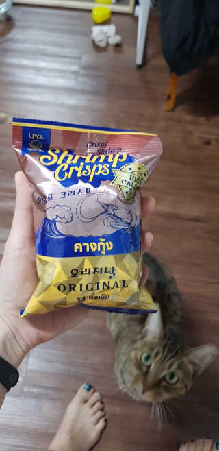 네롱이님이 올린 리뷰 사진 1