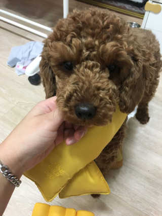 쥬비몬님이 올린 리뷰 사진 3