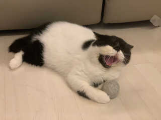 요랑님이 올린 리뷰 사진 1