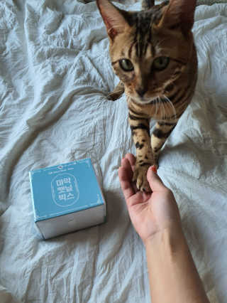 오늘도삐삐님이 올린 리뷰 사진 2