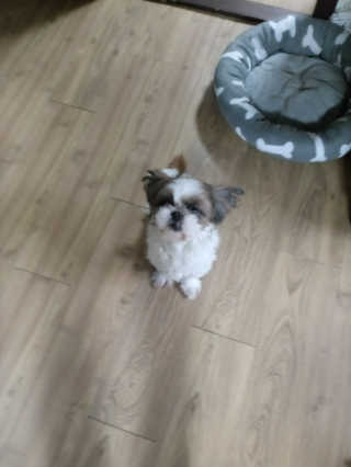방울이님이 올린 리뷰 사진 2
