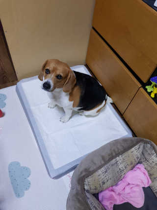 리나마이별님이 올린 리뷰 사진 4