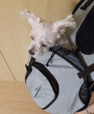 제니님이 올린 리뷰 사진 3
