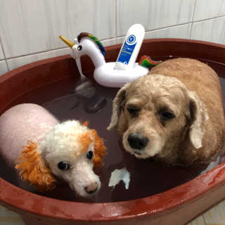 은지짱님이 올린 리뷰 사진 2