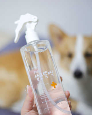 [펫토리아]살균뚝딱 강아지 고양이 살균소독제 탈취제 — 4.5점을 준 리뷰어가 2020년 3월 올린 사용 사진