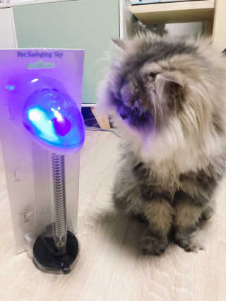 꼬끼오님이 올린 리뷰 사진 3