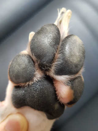 홍종원님이 올린 리뷰 사진 2