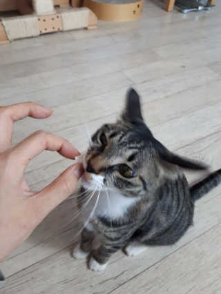 훌륭한여자님이 올린 리뷰 사진 2