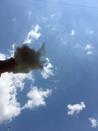 아지님이 올린 리뷰 사진 2