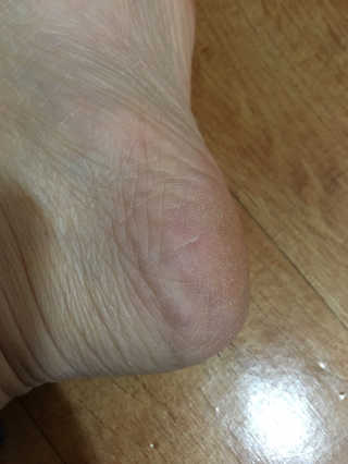 Ann님이 올린 리뷰 사진 2