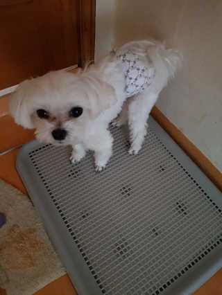 배엘세바님이 올린 리뷰 사진 3