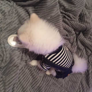 백설님이 올린 리뷰 사진 2
