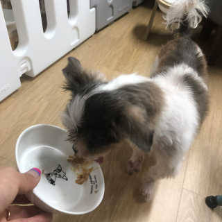 정봐기린님이 올린 리뷰 사진 2