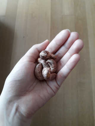 라니님이 올린 리뷰 사진 3