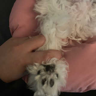 강밥풀님이 올린 리뷰 사진 3